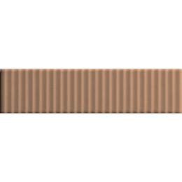 Biscuit Strip Terra 5x20 см