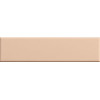 Biscuit Plain Powder 5x20 см
