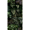 Paper41 Pro Jane B 50x100 см