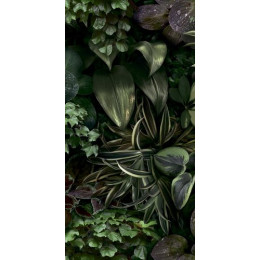 Paper41 Pro Jane B 50x100 см