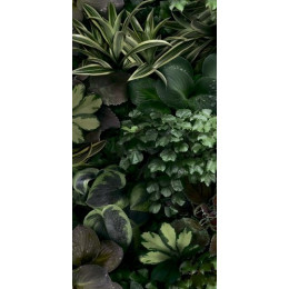 Paper41 Pro Jane C 50x100 см