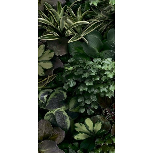 Paper41 Pro Jane C 50x100 см