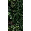 Paper41 Pro Jane D 50x100 см