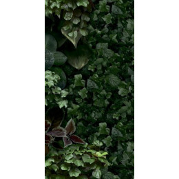 Paper41 Pro Jane D 50x100 см