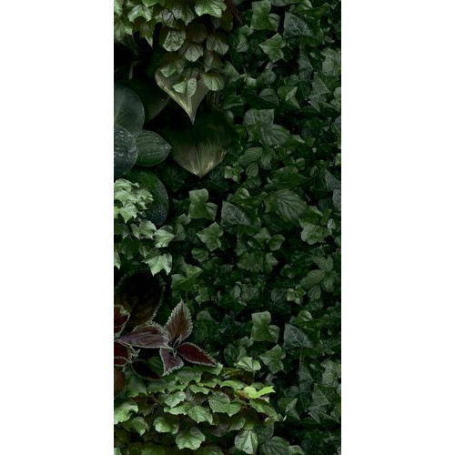Paper41 Pro Jane D 50x100 см