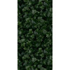 Paper41 Pro Jane e 50x100 см