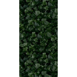 Paper41 Pro Jane e 50x100 см