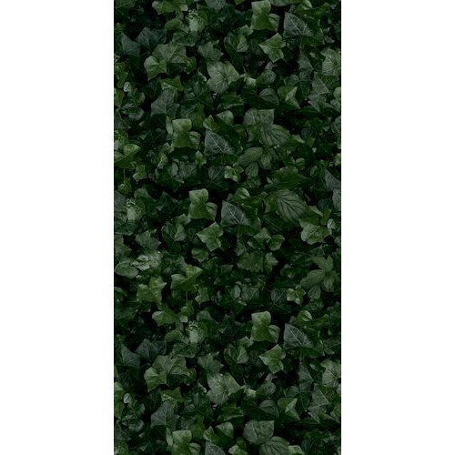Paper41 Pro Jane e 50x100 см