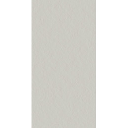 Superclassica Scg Flamed 60x120 см