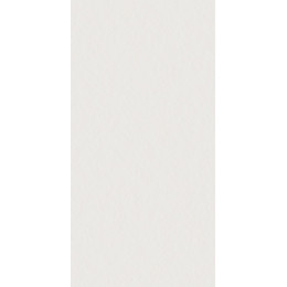 Superclassica Scw Flamed 60x120 см