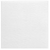 Modernista Liso PB C/C Blanco 15x15 см