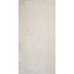 Illusion Gris Mate 60x120 см