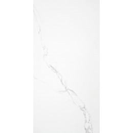 Pune Blanco Satinado Rett 60x120 см