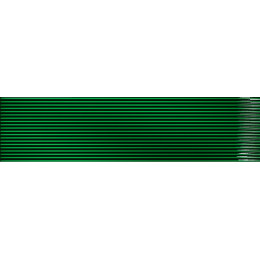 Stripes Victoria Crackle 6,5x26,1 см
