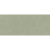 AYR7 Boost Expression Olive Matte 50x120