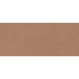 AYR9 Boost Expression Sienna Matte 50x120