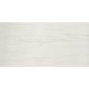 AZTV Marvel Bianco Dolomite Lappato 120x240