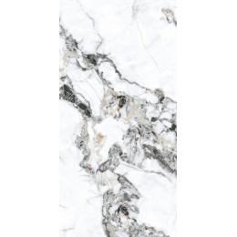 Керамогранит Bianco Gold 5 60х120