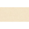 Керамогранит Cateye Beige 60х120