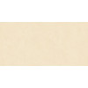 Керамогранит Cateye Beige 60х120