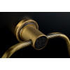 Крючок двойной ROYALE CRISTAL BLACK BR 10926-BR-B
