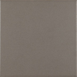 Antigua Base Gris 20x20 см