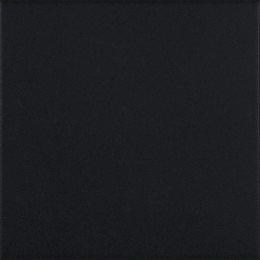 Pasion Base Negro 20x20 см