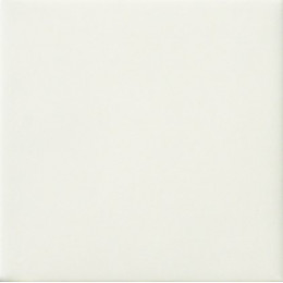 Amarcord Bianco Matt 20x20 см