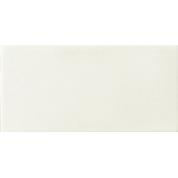 Amarcord Bianco Matt 10x20 см