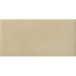 Amarcord Tabacco Matt 10x20 см
