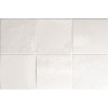 Artisan White 13,2x13,2 см