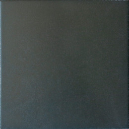 Caprice Black 20x20 см