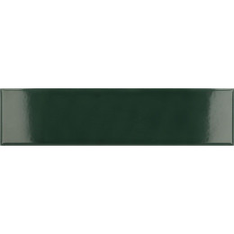 Costa Nova Laurel Green Glossy 5x20 см