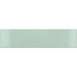 Costa Nova Aloe Glossy 5x20 см
