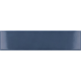 Costa Nova Banyan Blue Glossy 5x20 см