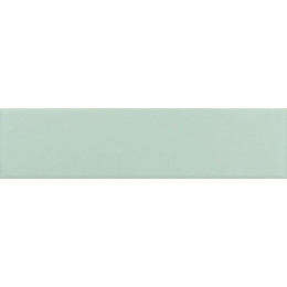 Costa Nova Aloe Matt 5x20 см