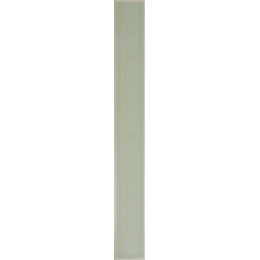 Vitral Mint 5x40 см