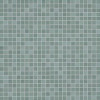COLOR LINE SALVIA MICROMOSAICO