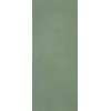 MATERIA BRILLANTE 50X120 BOSCO BRILLANTE