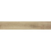 NEST 20X120 MAPLE MATT