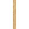 PLEIN AIR 20X180 GOLD MATT R9