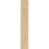 PLEIN AIR 20X120 BEIGE MATT R9