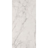 ROMA STONE 60X120 CARRARA DELICATO MATT R9