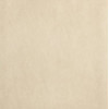SHEER 60X60 BEIGE MATT R10