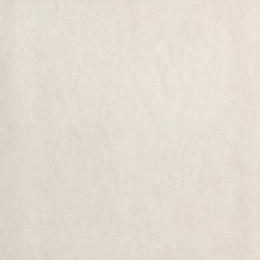 SHEER 60X60 WHITE MATT R10