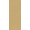 TRUE COLOR 50X120 CARAMEL MATT