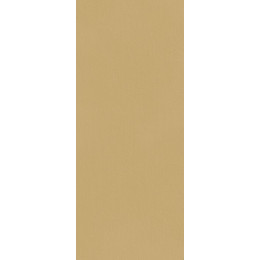 TRUE COLOR 50X120 CARAMEL MATT