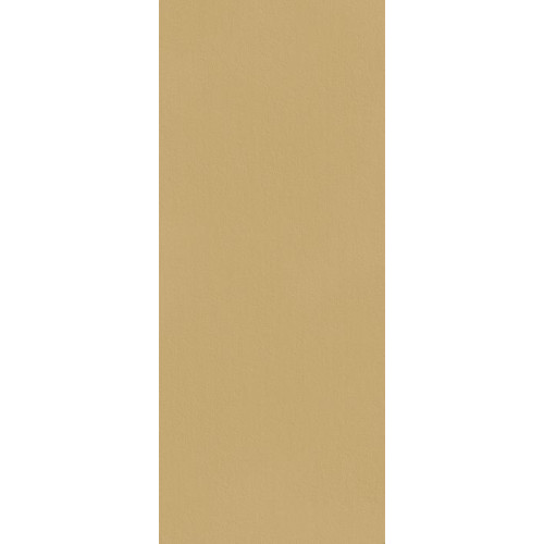 TRUE COLOR 50X120 CARAMEL MATT