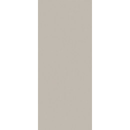 TRUE COLOR 50X120 FOSSIL MATT