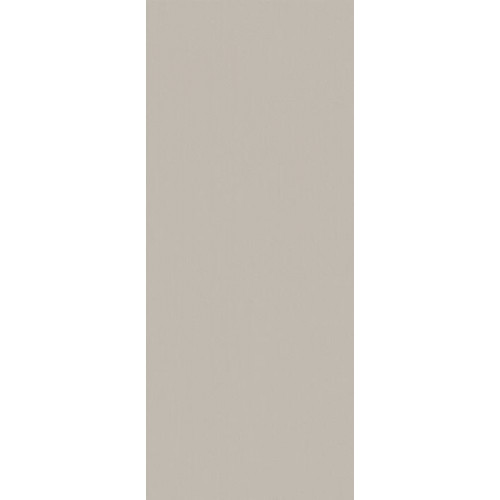 TRUE COLOR 50X120 FOSSIL MATT